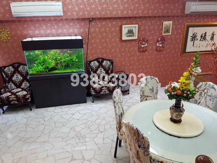 Parry Park (D19), Terrace #172968532